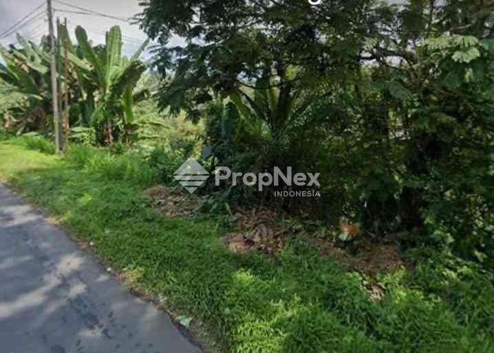 Tanah Desa Amadanom - Dampit
